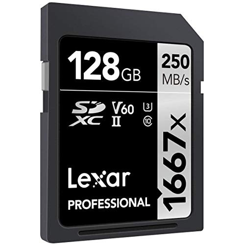 Scheda di Memoria SD Lexar SDXC 128GB UHSII 1667x (250MB/s), Schede di  memoria