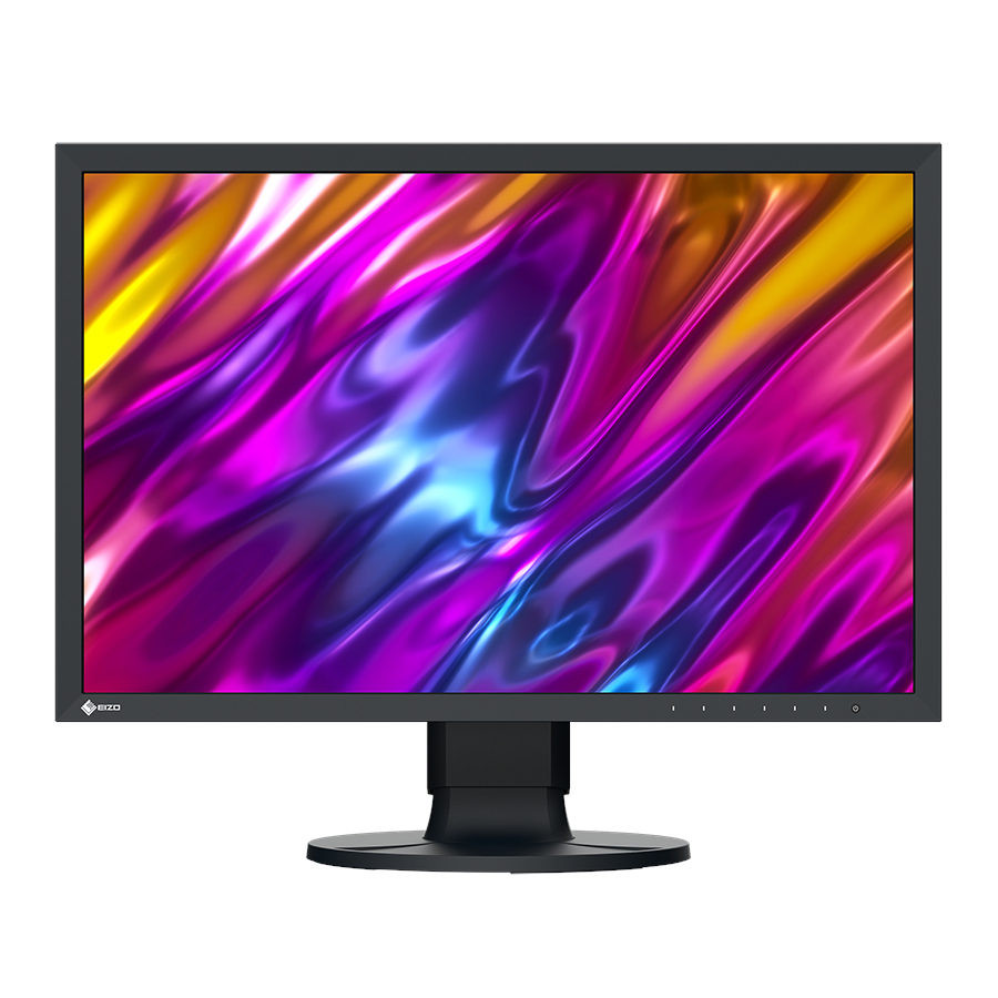 Monitor Eizo CS2400S da 24 pollici