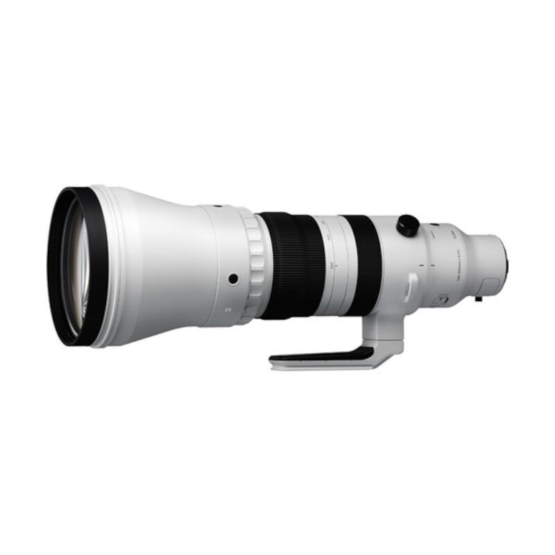 Sigma 300-600mm f/4.0 DG OS Sports L-mount