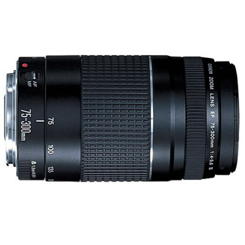 Canon EF 75-300mm f/4-5.6 III Usato