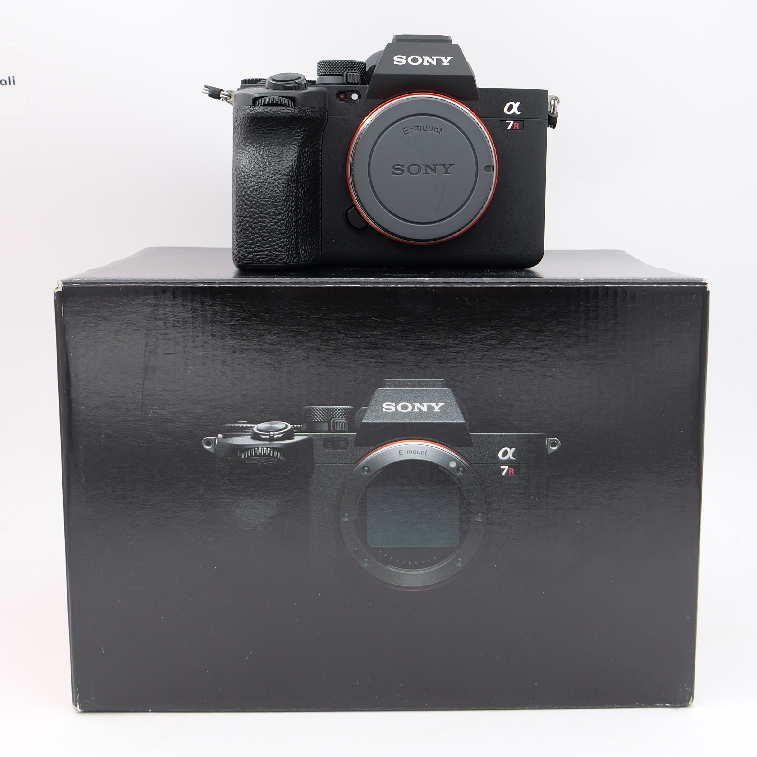 Sony Alpha A7R V Body Usata 47.492 Scatti