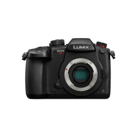 Panasonic LUMIX GH5S Body Usata + Smallrig