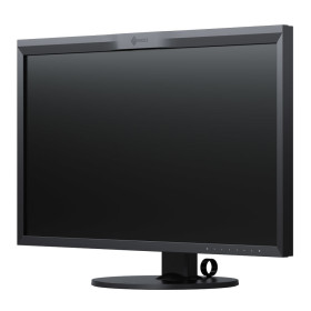 Monitor Eizo CG319X da 31 pollici