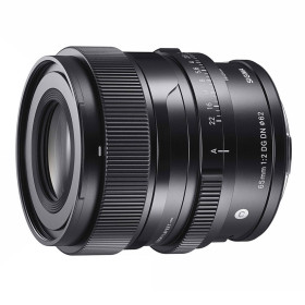Sigma 65mm f2.0 DG DN L-mount