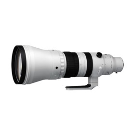 Sigma 300-600mm f/4.0 DG OS Sports Sony E-mount