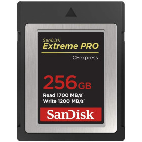 Scheda di Memoria Sandisk CFexpress Tipo B Extreme Pro 256GB 