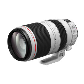 Obiettivo Canon EF 100-400mm f4.5-5.6L IS II USM