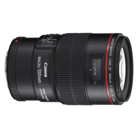 Canon EF 100mm f/2.8 L Macro IS USM Usato