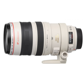 Canon EF 100-400mm f/4.5-5.6 L IS USM Usato