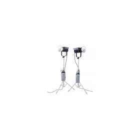 Nanlite Kit trolley FC-500B a 2 luci con supporto per luci