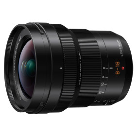 Obiettivo Panasonic Leica DG Elmarit 8-18mm f/2.8-4.0 Asph 