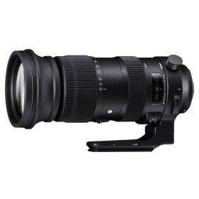 Sigma 60-600mm f/4.5-6.3 DG OS HSM Sport Sony E