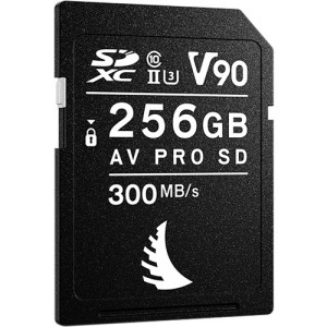 Angelbird Scheda di memoria AV Pro Mk2 UHS-II SDXC da 256 GB V90