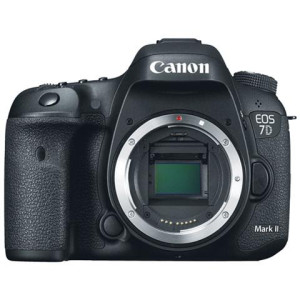 Canon EOS 6D Mark II Body Usata