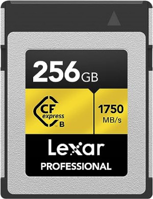 Scheda di Memoria Lexar Cfexpress 256 GB tipo B 