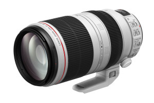 Obiettivo Canon EF 100-400mm f/4.5-5.6 L IS USM Usato