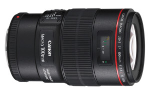 Canon EF 100mm f/2.8 L Macro IS USM Usato