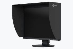 Monitor Eizo CG2400SV da 24 pollici nero