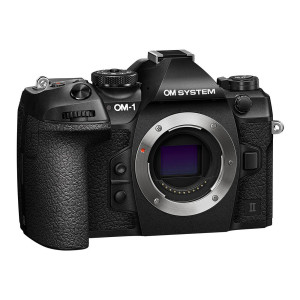 Fotocamera mirrorless Olympus OM-D E-M1 Mark II Body Usata Scatti 3740