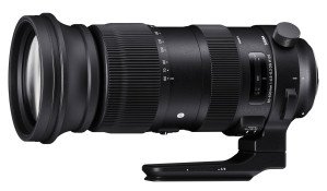 Sigma AF 60-600 F/4.5-6.3 (S) DG OS HSM Canon Usato