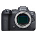 Fotocamera mirrorless Canon EOS R6 Body
