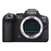 Fotocamera mirrorless Canon EOS R6 Mark II Body