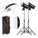 Godox Flash da studio SK400II-V Monotorcia Kit